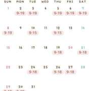 ヒメ日記 2026/02/25 13:25 投稿 Ena THE PREMIUM （プレミアム）