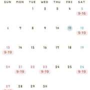 ヒメ日記 2026/09/11 13:00 投稿 Ena THE PREMIUM （プレミアム）