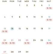 ヒメ日記 2026/09/14 17:50 投稿 Ena THE PREMIUM （プレミアム）