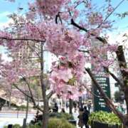 ヒメ日記 2026/03/02 21:20 投稿 りょう 完熟ばなな川崎