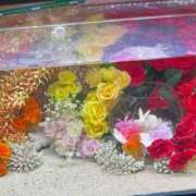 ヒメ日記 2026/03/22 12:14 投稿 みりん 熟女の風俗最終章 仙台店