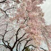 ヒメ日記 2026/04/08 10:04 投稿 みりん 熟女の風俗最終章 仙台店