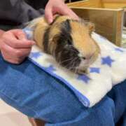 ヒメ日記 2026/05/09 10:54 投稿 みりん 熟女の風俗最終章 仙台店