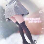 ヒメ日記 2026/02/05 03:47 投稿 めあり フェアリー【都城店】