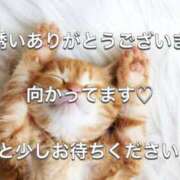 ヒメ日記 2026/03/03 13:12 投稿 めあり フェアリー【都城店】