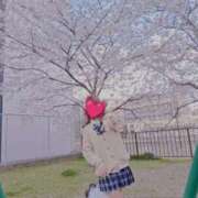 ヒメ日記 2026/03/07 01:16 投稿 きゅあぴ イクイクサークル鶯谷店