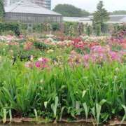 ヒメ日記 2026/06/04 07:55 投稿 星野 松戸おかあさん