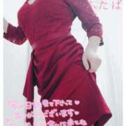 ヒメ日記 2026/01/29 15:30 投稿 ふたば iris～アイリス～