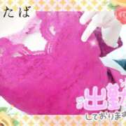 ヒメ日記 2026/03/04 12:31 投稿 ふたば iris～アイリス～