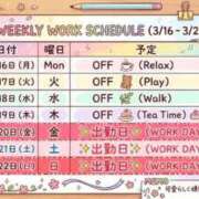 ヒメ日記 2026/03/16 12:16 投稿 つかさ 横浜ひよこ倶楽部