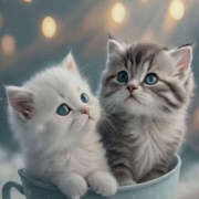 ヒメ日記 2026/02/08 13:06 投稿 瀬名 ミセスの手ほどき