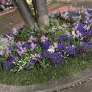 ヒメ日記 2026/03/27 18:48 投稿 瀬名 ミセスの手ほどき