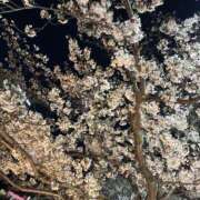 ヒメ日記 2026/04/07 15:38 投稿 瀬名 ミセスの手ほどき