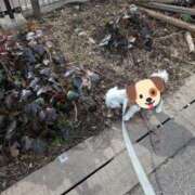 ヒメ日記 2026/02/12 17:44 投稿 ひかり 出会い系人妻ネットワーク 春日部〜岩槻編