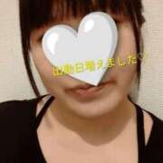 ヒメ日記 2026/02/19 18:44 投稿 ひかり 出会い系人妻ネットワーク 春日部〜岩槻編