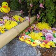 ヒメ日記 2026/03/06 00:56 投稿 舞 MCロイヤル