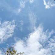 ヒメ日記 2026/03/17 05:06 投稿 舞 MCロイヤル