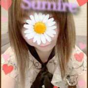 ヒメ日記 2026/02/11 10:06 投稿 スミレ Aube