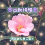ヒメ日記 2026/03/19 21:59 投稿 みこ 迷宮の人妻　熊谷・行田発