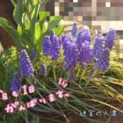 ヒメ日記 2026/03/21 09:39 投稿 みこ 迷宮の人妻　熊谷・行田発