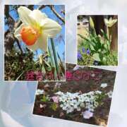 ヒメ日記 2026/03/24 20:49 投稿 みこ 迷宮の人妻　熊谷・行田発