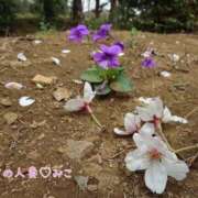 ヒメ日記 2026/04/01 13:29 投稿 みこ 迷宮の人妻　熊谷・行田発