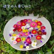 ヒメ日記 2026/04/06 13:29 投稿 みこ 迷宮の人妻　熊谷・行田発