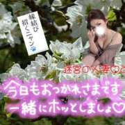ヒメ日記 2026/04/08 22:29 投稿 みこ 迷宮の人妻　熊谷・行田発
