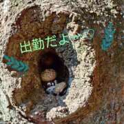 ヒメ日記 2026/02/06 10:39 投稿 みこ 迷宮の人妻 古河・久喜発