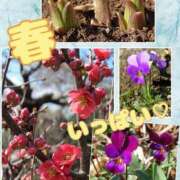 ヒメ日記 2026/03/11 14:09 投稿 みこ 迷宮の人妻 古河・久喜発