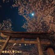 ヒメ日記 2026/03/29 20:09 投稿 みこ 迷宮の人妻 古河・久喜発