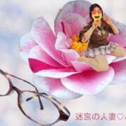 ヒメ日記 2026/04/08 10:59 投稿 みこ 迷宮の人妻 古河・久喜発