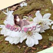 ヒメ日記 2026/04/11 13:29 投稿 みこ 迷宮の人妻 古河・久喜発