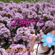 ヒメ日記 2026/04/20 13:29 投稿 みこ 迷宮の人妻 古河・久喜発