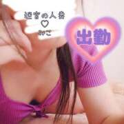ヒメ日記 2026/05/21 12:09 投稿 みこ 迷宮の人妻 古河・久喜発