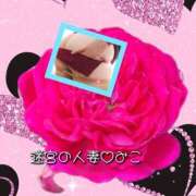 ヒメ日記 2026/05/21 18:09 投稿 みこ 迷宮の人妻 古河・久喜発