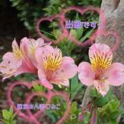ヒメ日記 2026/06/17 17:09 投稿 みこ 迷宮の人妻 古河・久喜発