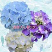 ヒメ日記 2026/07/08 14:29 投稿 みこ 迷宮の人妻 古河・久喜発