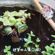 ヒメ日記 2026/07/22 12:54 投稿 みこ 迷宮の人妻 古河・久喜発