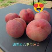 ヒメ日記 2026/09/01 21:19 投稿 みこ 迷宮の人妻 古河・久喜発