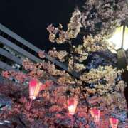 ヒメ日記 2026/04/04 17:38 投稿 もも メンエス案内所