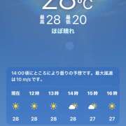 ヒメ日記 2026/05/19 11:52 投稿 もも メンエス案内所