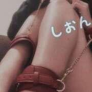 ヒメ日記 2026/02/12 01:03 投稿 氷室しおん 恋する奥さん 西中島店