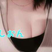 ヒメ日記 2026/02/19 06:45 投稿 氷室しおん 恋する奥さん 西中島店