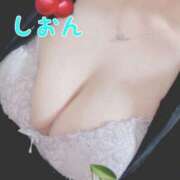 ヒメ日記 2026/03/01 08:15 投稿 氷室しおん 恋する奥さん 西中島店