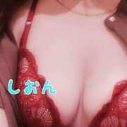 ヒメ日記 2026/03/15 15:16 投稿 氷室しおん 恋する奥さん 西中島店