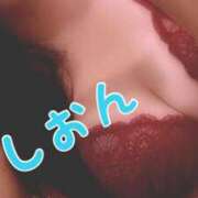 ヒメ日記 2026/03/24 07:31 投稿 氷室しおん 恋する奥さん 西中島店