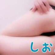 ヒメ日記 2026/04/02 08:01 投稿 氷室しおん 恋する奥さん 西中島店