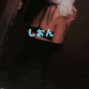 ヒメ日記 2026/04/09 08:01 投稿 氷室しおん 恋する奥さん 西中島店