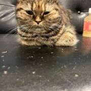 ヒメ日記 2026/02/15 12:30 投稿 春乃さくら ウルトラホワイト